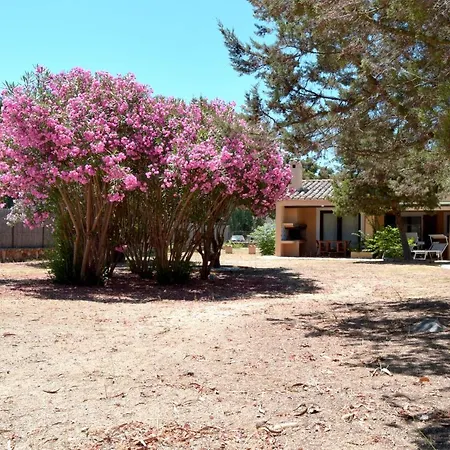 Giunco By La Via Del Mare Viaggi E Vacanze Villasimius