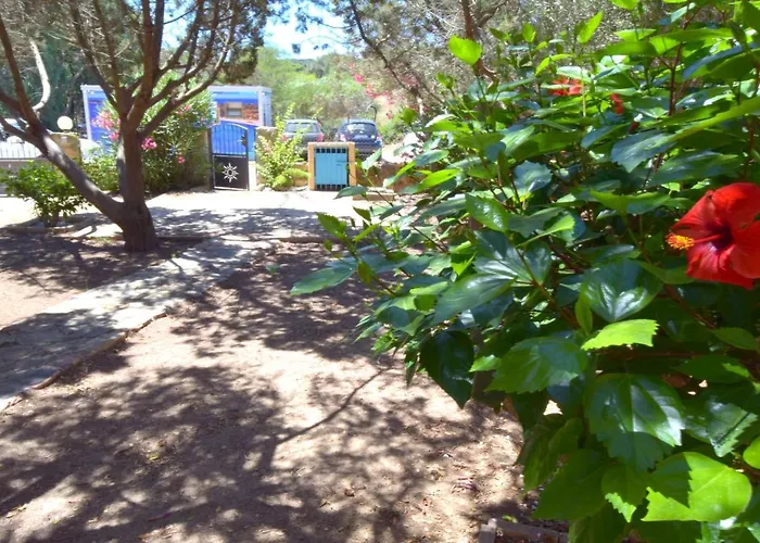 Giunco By La Via Del Mare Viaggi E Vacanze *