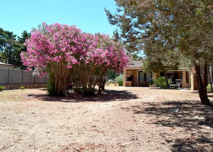 Giunco By La Via Del Mare Viaggi E Vacanze Villasimius